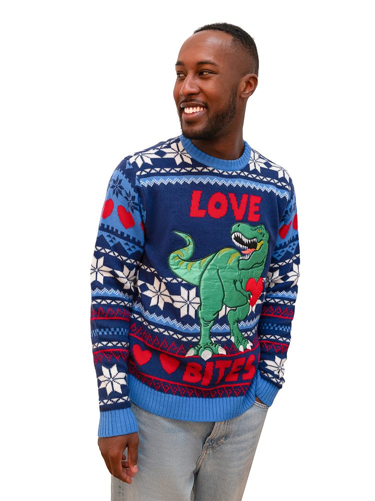 Boys dinosaur christmas online sweater