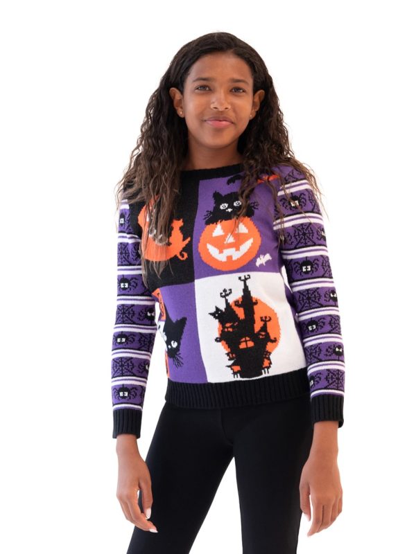 Colorblock Cats Sweater