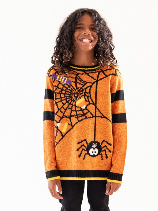 Halloween Spider Sweater