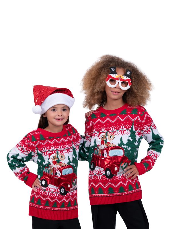 Rudolph & Clarice Tree Delivery Family Sweater for Boys