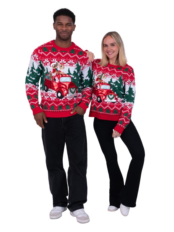 Rudolph & Clarice Tree Delivery Family Sweater for Men