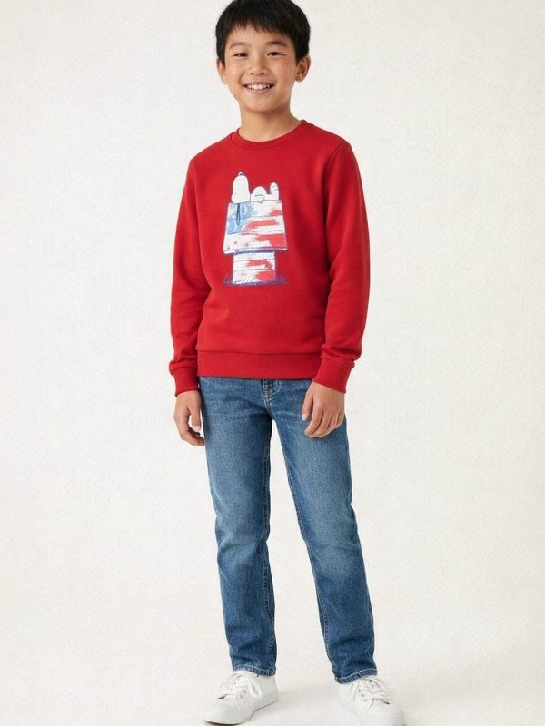 Peanuts Unisex Snoopy Doghouse Flag Sweatshirt for Kids